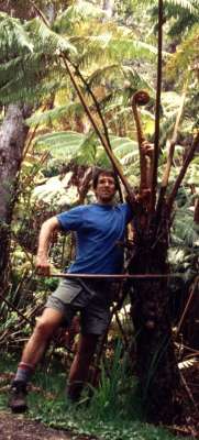 Photo of Dave playing the giant fiddle fern in Hawaii Volcanoes National Park
